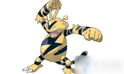 《精灵宝可梦剑盾》电击兽怎么样 电击兽属性详解