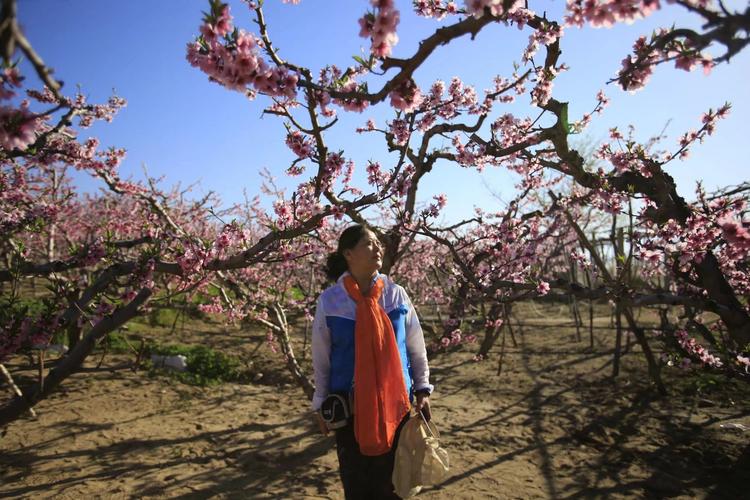 辽宁丹东河口桃花岛