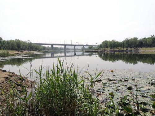 5.28日漫步门城湖公园