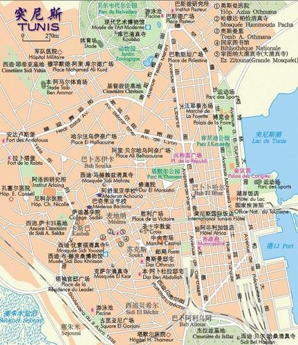 突尼斯市区地图