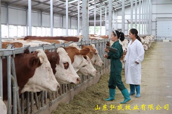 宣汉县养牛场在哪里-南充发布猫