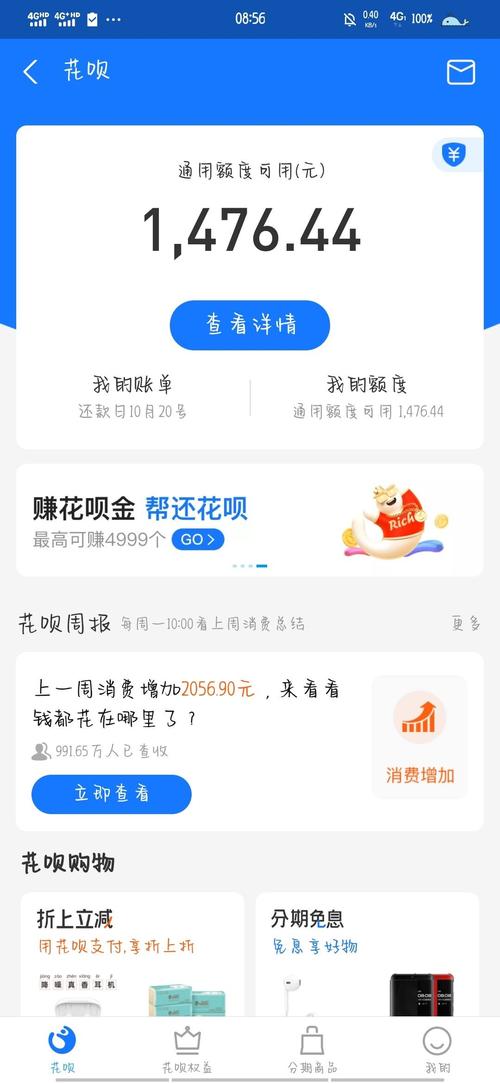 一次性还款?还是不用呢?