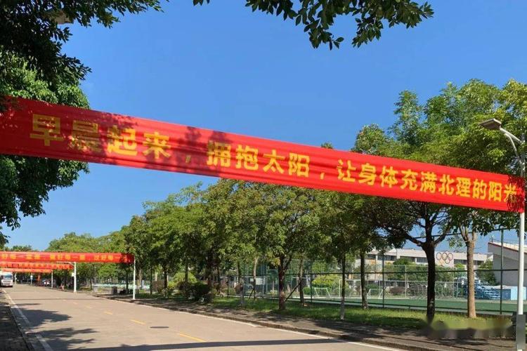 2020年迎新生标语投票来了,选出你心中的"网红"横幅