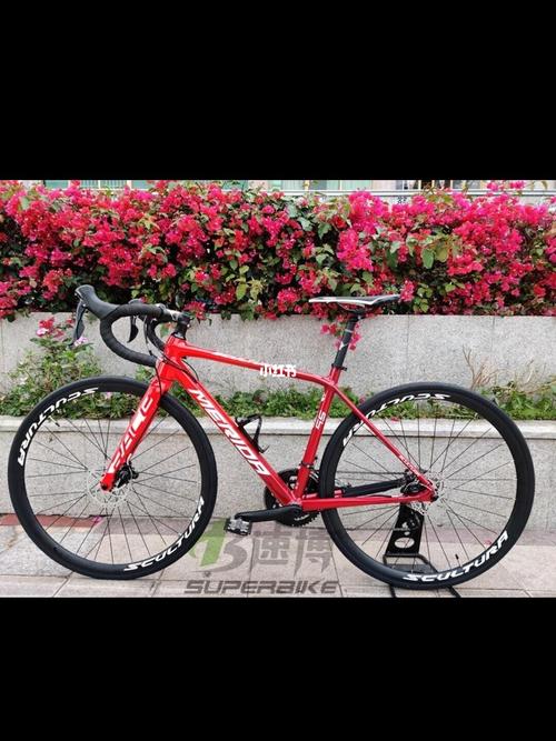 美利达斯特拉_自行车_汽车_汽车介绍