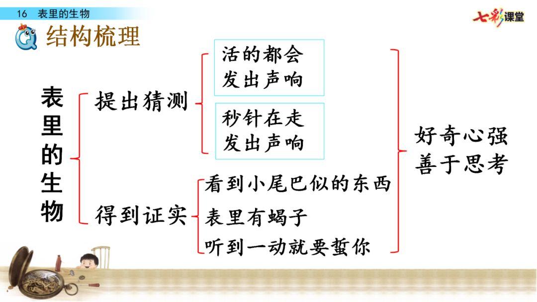 部编版语文六年级下册第16课表里的生物课文朗读知识要点图文讲解同步