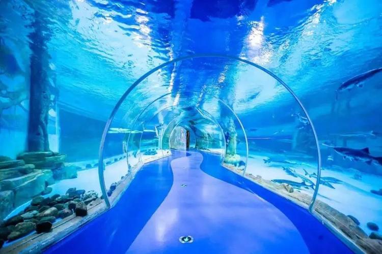 美美美,从晨光到日幕,游览诗意中的西双版纳!