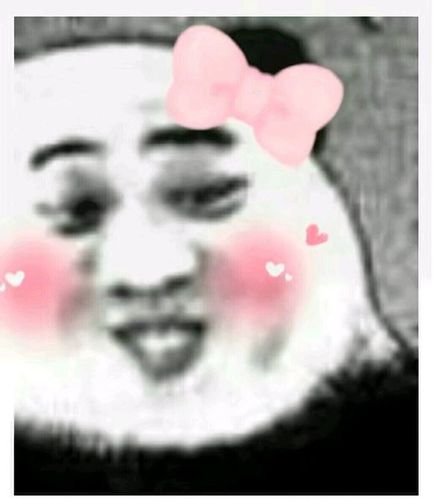 坏笑- 美少女专用熊猫头表情包