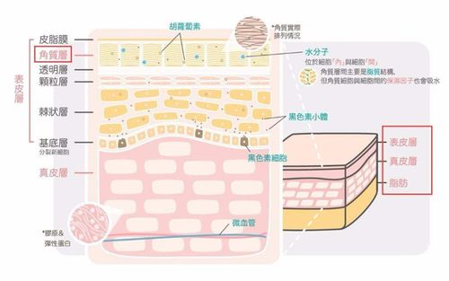 黑色素沉淀