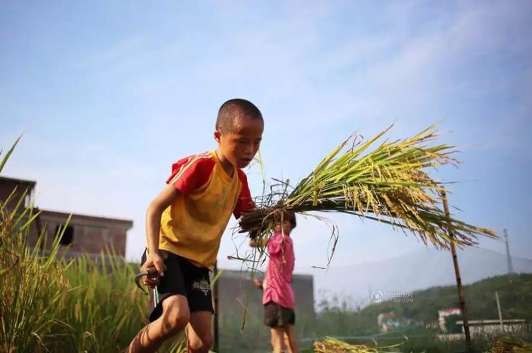 穷人家的孩子早当家 这就是农村孩子
