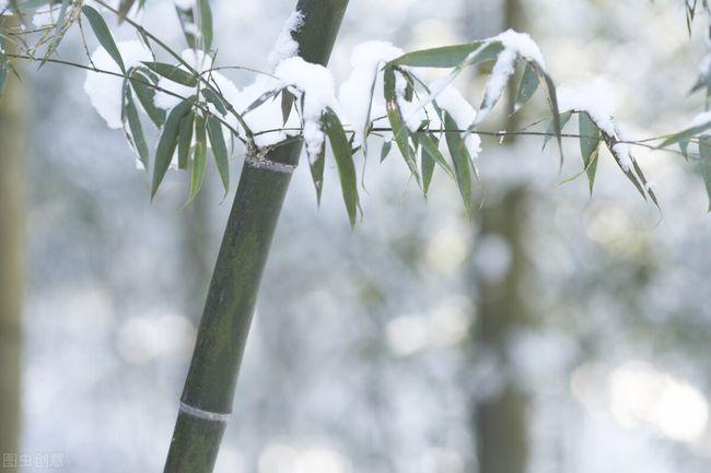 雪映竹梢头,翠影丛丛黯,更堪待"雪后竹枝风,醉梦风吹醒"