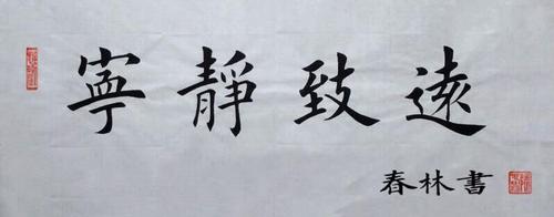 张春林老师 书法作品欣赏
