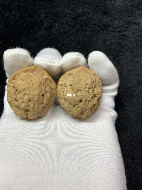 元宝蛤蟆头铁核桃_核桃_新手_文玩_兴趣爱好_兴趣爱好