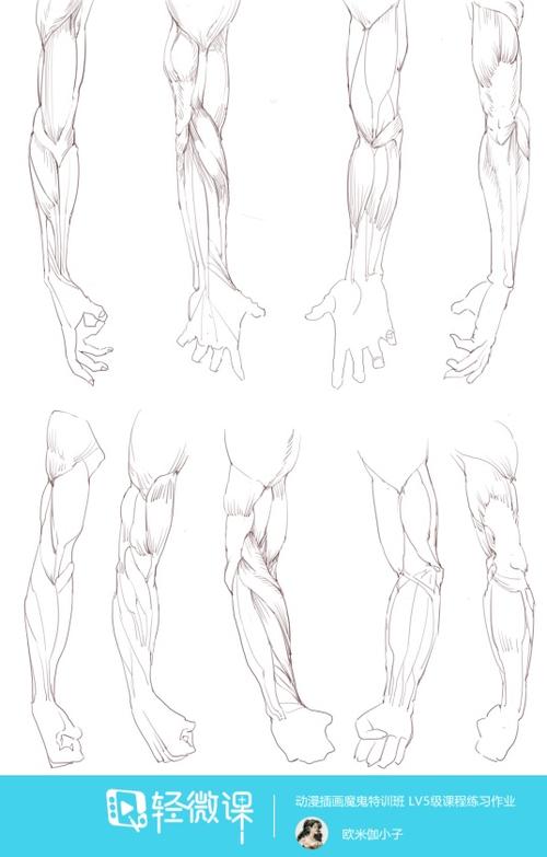 写生手臂—人体体块手臂肌肉的练习