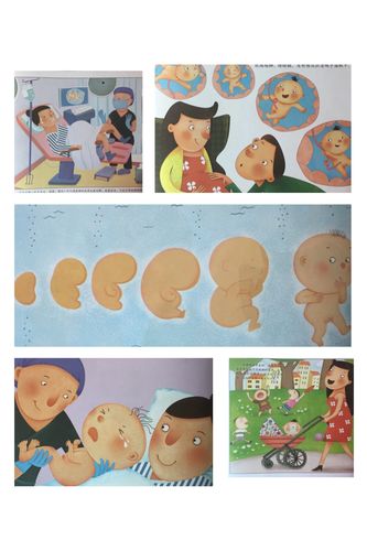 【凤川街道中心幼儿园中一班】我从哪里来——性教育知识普及从娃娃