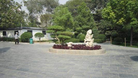 郑州紫荆山公园有什么玩的?