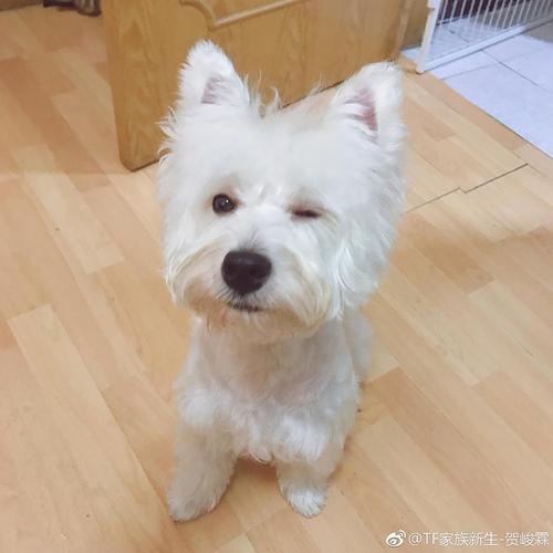 贺峻霖拍的照片