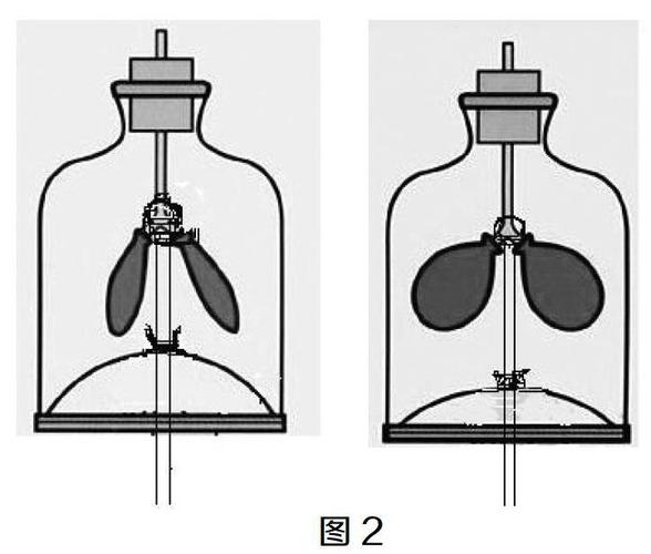 "模拟膈肌的运动"演示实验装置的改进