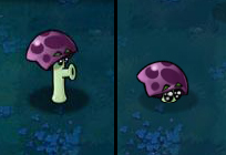 植物大战僵尸图片_百度百科