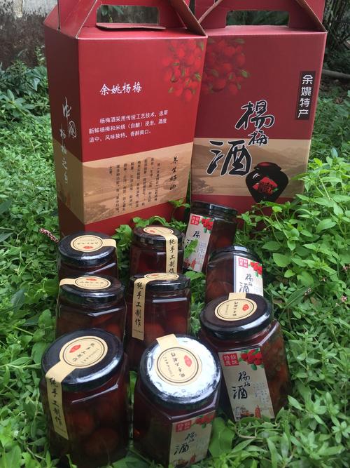 余姚土特产杨梅酒酒中珍品