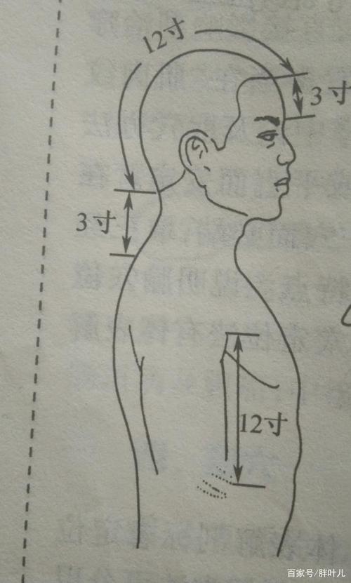 ②起止点:前额两发角之间 骨度分寸:9寸 度量法:横寸 说明:用于量