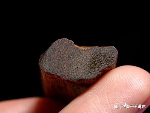 奇楠的定义与鉴别