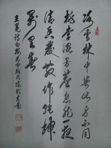 书法家陈显志作品:王冕诗词一首白梅:冰雪林中著此身
