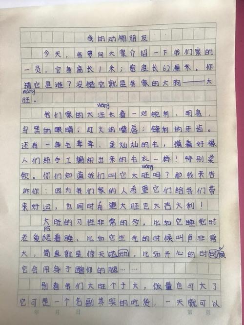我手写我心 成长亦精彩——方城县第三小学四年级段作文竞赛展示