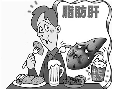 5060岁人群脂肪肝发病占四成