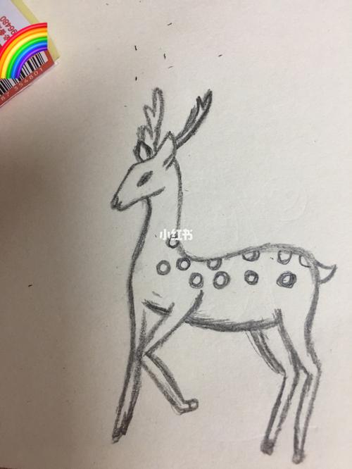 梅花鹿～简笔画教程_简笔画_教程_铅笔画_简笔画教程