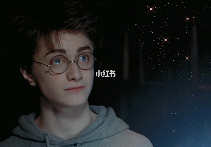 哈利波特丹尼尔_哈利波特_影视_电影(图文)_外语电影