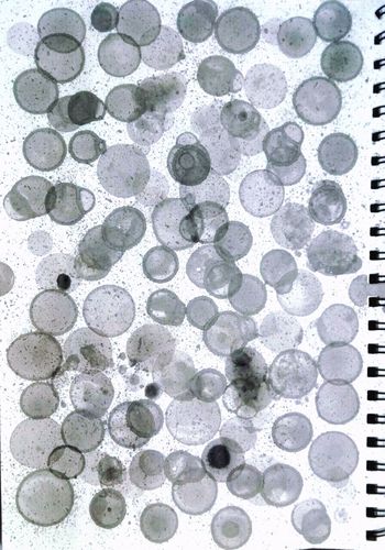 《肌理与应用》优秀美术作业