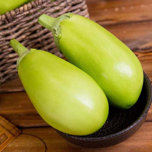 东北特产大绿茄子农家自种新鲜现货绿皮茄子生吃青茄蔬菜5斤