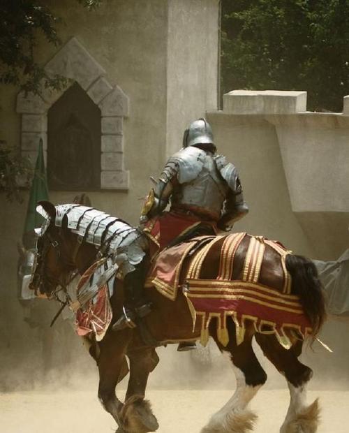 中世纪的骑士如何追求贵妇人?