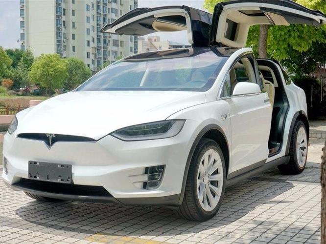 特斯拉 model x 75d图片