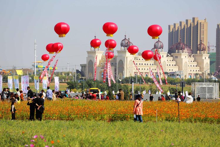 沈阳沈北新区在道义城市花海公园举办花海风筝秀