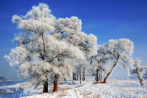 【《雾淞岛》摄影图片】吉林省吉林市雾淞岛风景区__.