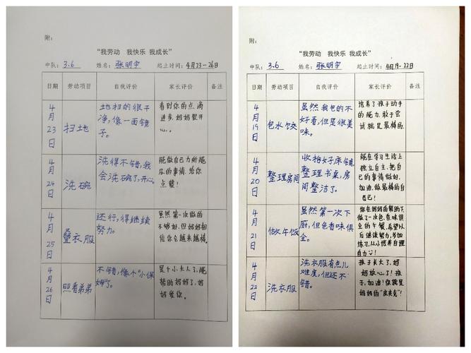 【我劳动 我快乐 我成长】——济南市莱芜实验小学三