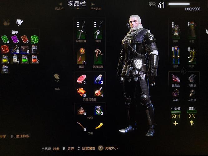 巫师3请问有人用过狮鹫套美化mod吗问题已解决