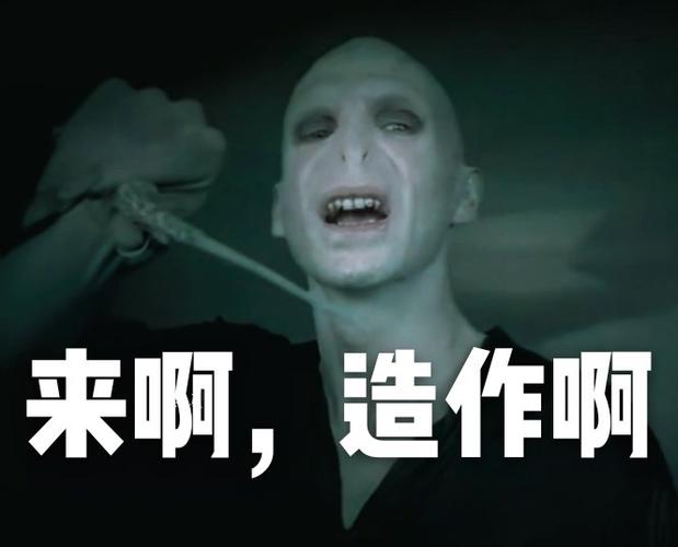 哈利波特系列表情包系列之伏地魔第一波