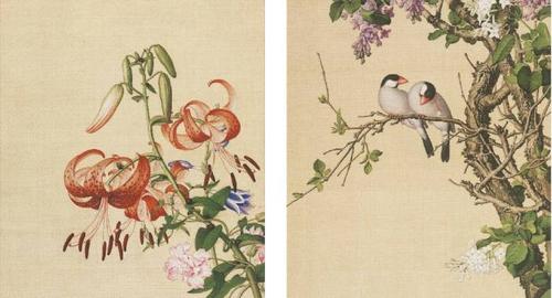 "清" 郎世宁 《花鸟图册》赏析