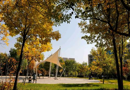 学子芳华(之五) 写美篇 摄影:秦虹          带您走进滨州职业学院