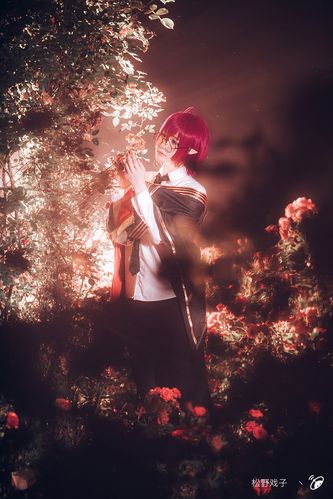 【cos正片】玫瑰战争 紫堂幻 凹凸世界同人