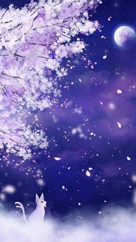 阳光下的浪漫动漫樱花季,锁屏图片,手机壁纸-回车桌面