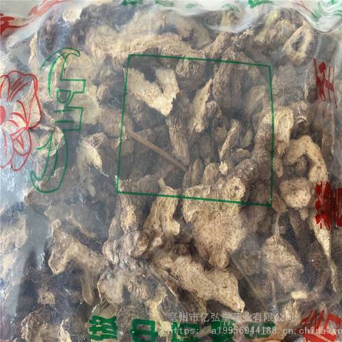 正宗中药材枪头菜是什么苍术哪里有卖的苍术药用效果