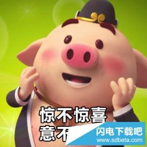 猪小屁猪头表情包图片合集 最新呆萌小猪合集