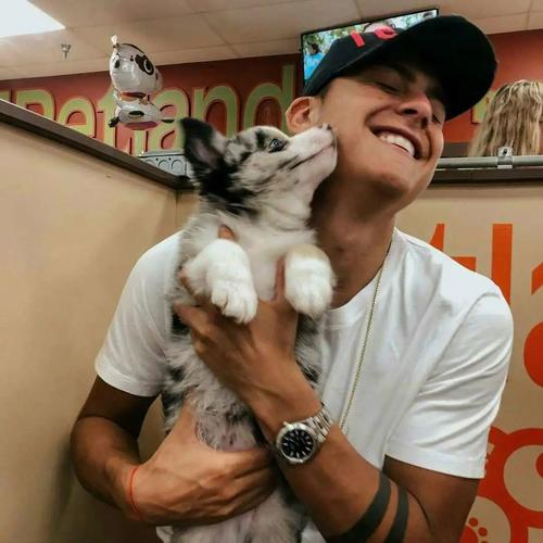 巴拉巴拉小魔仙——迪巴拉