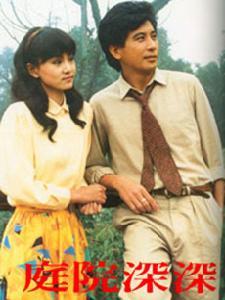 电视剧《庭院深深》
