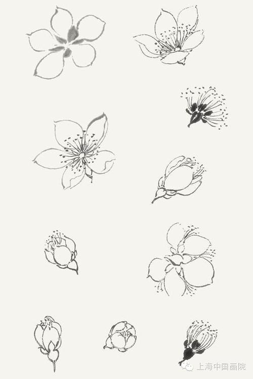 海棠花蕊简笔画 (第1页)