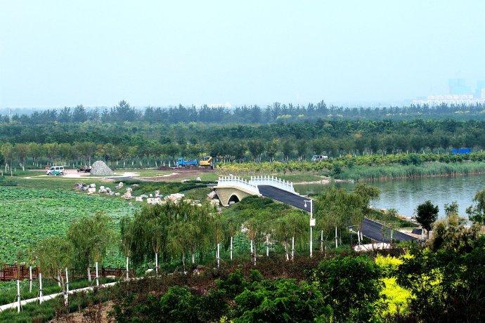 初访东丽湖生态公园(二)