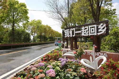 农村路也有高颜值!这条美如画的路带领更多人快乐回乡